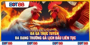 Đá Gà Trực Tuyến – Đa Dạng Trường Gà Lịch Đấu Liên Tục